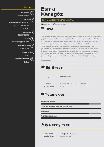 Yönetici Asistanı Cv Örnekleri cv indir